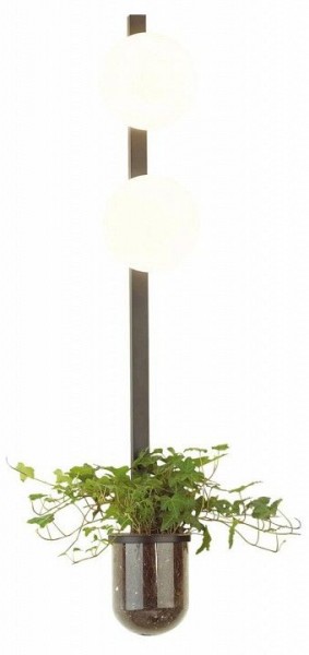 Бра Odeon Light Flower 4681/2WA в Златоусте - zlatoust.mebel24.online | фото 3