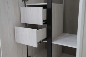 ДЕЛИ 3 Шкаф 3-х створчатый в Златоусте - zlatoust.mebel24.online | фото 7