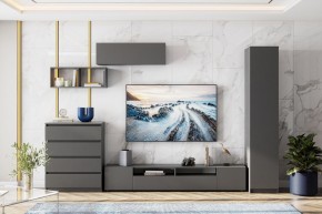ДЕНВЕР Пенал (Графит серый) в Златоусте - zlatoust.mebel24.online | фото 4