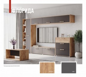 ФЛОРИДА Гостиная (модульная) дуб золотой/графит в Златоусте - zlatoust.mebel24.online | фото