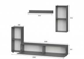 Гостиная МГС 10 (Графит) в Златоусте - zlatoust.mebel24.online | фото 2