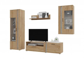 Гостиная Омега (Крафт золотой-Бетон) в Златоусте - zlatoust.mebel24.online | фото 2