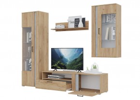 Гостиная Омега (Крафт золотой-Бетон) в Златоусте - zlatoust.mebel24.online | фото 4