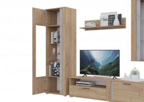 Гостиная Омега (Крафт золотой-Бетон) в Златоусте - zlatoust.mebel24.online | фото 5