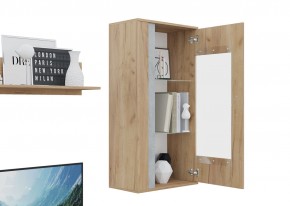 Гостиная Омега (Крафт золотой-Бетон) в Златоусте - zlatoust.mebel24.online | фото 6