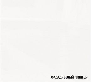 ЖАСМИН Кухонный гарнитур Экстра 1 (3000 мм) в Златоусте - zlatoust.mebel24.online | фото 5
