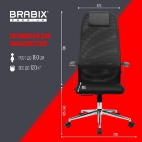 Кресло BRABIX PREMIUM "Ultimate EX-801" хром, плотная двойная сетка Х2, черное, 532917 в Златоусте - zlatoust.mebel24.online | фото 7