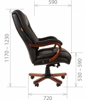 Кресло для руководителя Chairman 503 в Златоусте - zlatoust.mebel24.online | фото 5