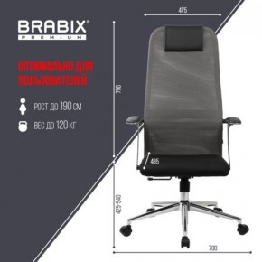 Кресло офисное BRABIX PREMIUM "Ultimate EX-801" хром, плотная двойная сетка Х2, черное/серое, 532918 в Златоусте - zlatoust.mebel24.online | фото 5