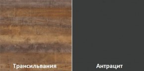 Кухонный гарнитур угловой Трансильвания 2600х1600 мм (Стол. 26 мм) в Златоусте - zlatoust.mebel24.online | фото 3