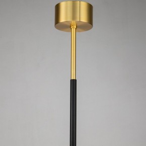 Люстра на штанге Favourite Maximo 2623-12P в Златоусте - zlatoust.mebel24.online | фото 7