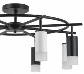 Люстра на штанге Lightstar Rullo LR7183743641 в Златоусте - zlatoust.mebel24.online | фото 4