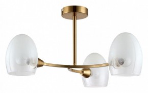 Люстра на штанге Lumion Kendall 6514/3C в Златоусте - zlatoust.mebel24.online | фото