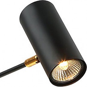 Люстра на штанге Lussole Duncan LSP-8252 в Златоусте - zlatoust.mebel24.online | фото 3