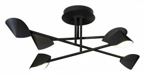 Люстра на штанге Mantra Capuccina 7581 в Златоусте - zlatoust.mebel24.online | фото 1