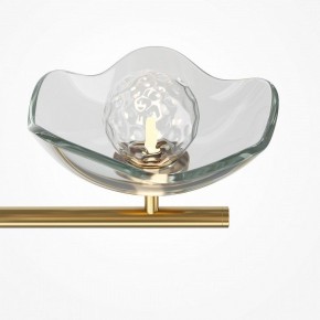 Люстра на штанге Maytoni Miracle MOD207PL-05BS в Златоусте - zlatoust.mebel24.online | фото 5