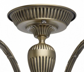 Люстра на штанге MW-Light Аманда 6 481011805 в Златоусте - zlatoust.mebel24.online | фото 10