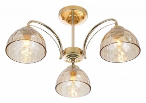 Люстра на штанге Rivoli Terri Б0060988 в Златоусте - zlatoust.mebel24.online | фото