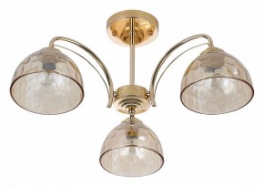 Люстра на штанге Rivoli Terri Б0060988 в Златоусте - zlatoust.mebel24.online | фото 2