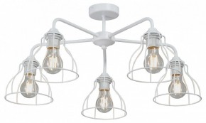 Люстра на штанге Vitaluce V3102 V3102-0/5PL в Златоусте - zlatoust.mebel24.online | фото