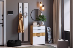 МЕБЕЛЬСОН К21 Прихожая в Златоусте - zlatoust.mebel24.online | фото