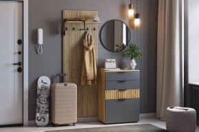 МЕБЕЛЬСОН К3 Прихожая (графит) в Златоусте - zlatoust.mebel24.online | фото