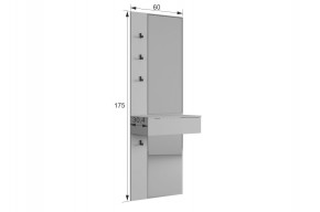 МЕБЕЛЬСОН К33 Прихожая в Златоусте - zlatoust.mebel24.online | фото 11
