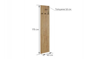 МЕБЕЛЬСОН К6 Прихожая в Златоусте - zlatoust.mebel24.online | фото 6