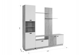 МОДИ К1 Гостиная (белое дерево) в Златоусте - zlatoust.mebel24.online | фото 2