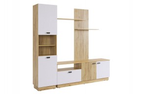 МОДИ К1 Гостиная (белое дерево) в Златоусте - zlatoust.mebel24.online | фото 6