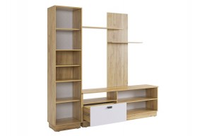 МОДИ К1 Гостиная (белое дерево) в Златоусте - zlatoust.mebel24.online | фото 7