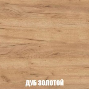 МСП-1 Шкаф 2-х створчатый (Дуб Золотой/Камень темный) в Златоусте - zlatoust.mebel24.online | фото 4