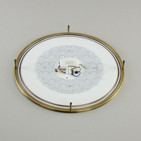 Накладной светильник Citilux Бостон CL709503N в Златоусте - zlatoust.mebel24.online | фото 13