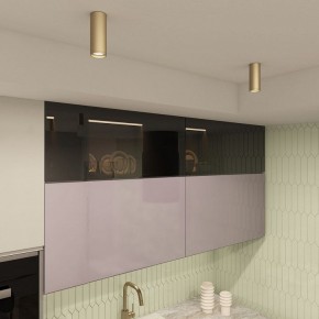 Накладной светильник Denkirs TUBE DK2051-SG в Златоусте - zlatoust.mebel24.online | фото 4