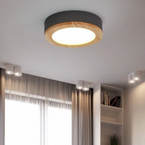 Накладной светильник Imperiumloft Wudda Серый WUDDA01 в Златоусте - zlatoust.mebel24.online | фото 4