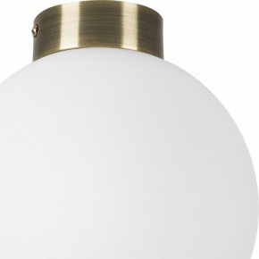 Накладной светильник Lightstar Globo 812021 в Златоусте - zlatoust.mebel24.online | фото 3