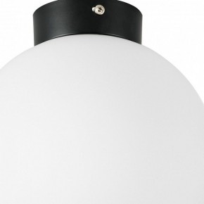 Накладной светильник Lightstar Globo 812027 в Златоусте - zlatoust.mebel24.online | фото 2