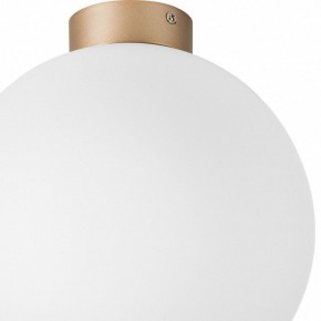 Накладной светильник Lightstar Globo 812033 в Златоусте - zlatoust.mebel24.online | фото 2