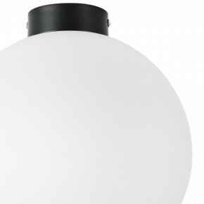 Накладной светильник Lightstar Globo 812037 в Златоусте - zlatoust.mebel24.online | фото 3