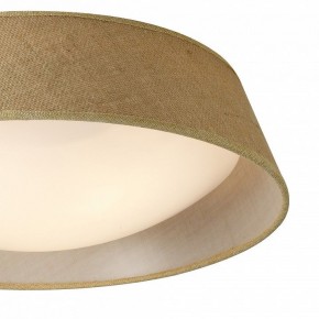 Накладной светильник Mantra Sabina 6413 в Златоусте - zlatoust.mebel24.online | фото 3