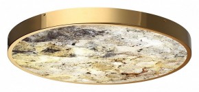 Накладной светильник Odeon Light Bergi 5079/50L в Златоусте - zlatoust.mebel24.online | фото 5