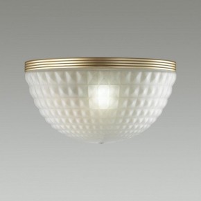 Накладной светильник Odeon Light Malaga 4936/1W в Златоусте - zlatoust.mebel24.online | фото 2
