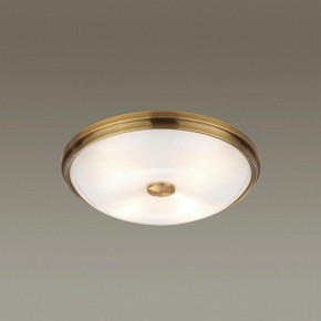 Накладной светильник Odeon Light Pelow 4956/4 в Златоусте - zlatoust.mebel24.online | фото 2
