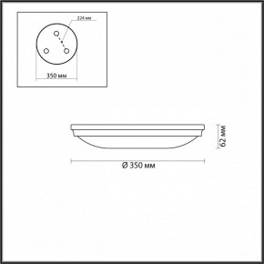 Накладной светильник Odeon Light Pelow 4956/4 в Златоусте - zlatoust.mebel24.online | фото 3