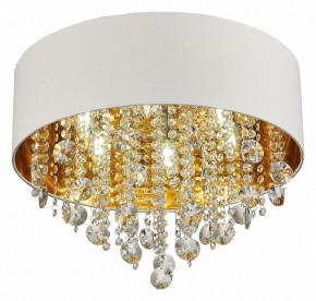 Накладной светильник ST-Luce Lacchia SL1350.502.06 в Златоусте - zlatoust.mebel24.online | фото 3
