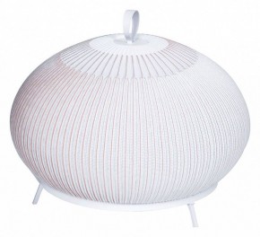 Настольная лампа декоративная Divinare Firefly 1808/33 TL-50 в Златоусте - zlatoust.mebel24.online | фото