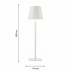 Настольная лампа декоративная F-promo Pyari 4614-1T в Златоусте - zlatoust.mebel24.online | фото 3