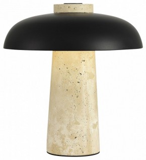 Настольная лампа декоративная ST-Luce Earthy SL1194.424.01 в Златоусте - zlatoust.mebel24.online | фото 3