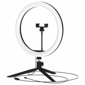 Настольная лампа кольцевая Gauss Ring Light RL003 в Златоусте - zlatoust.mebel24.online | фото