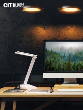Настольная лампа офисная Citilux Ньютон CL803080 в Златоусте - zlatoust.mebel24.online | фото 10